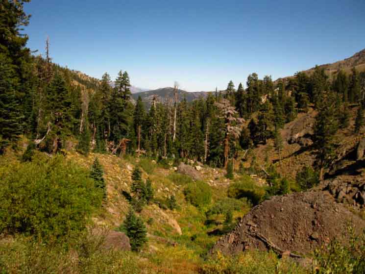 Noble Canyon below the Pacific Crest Trail.